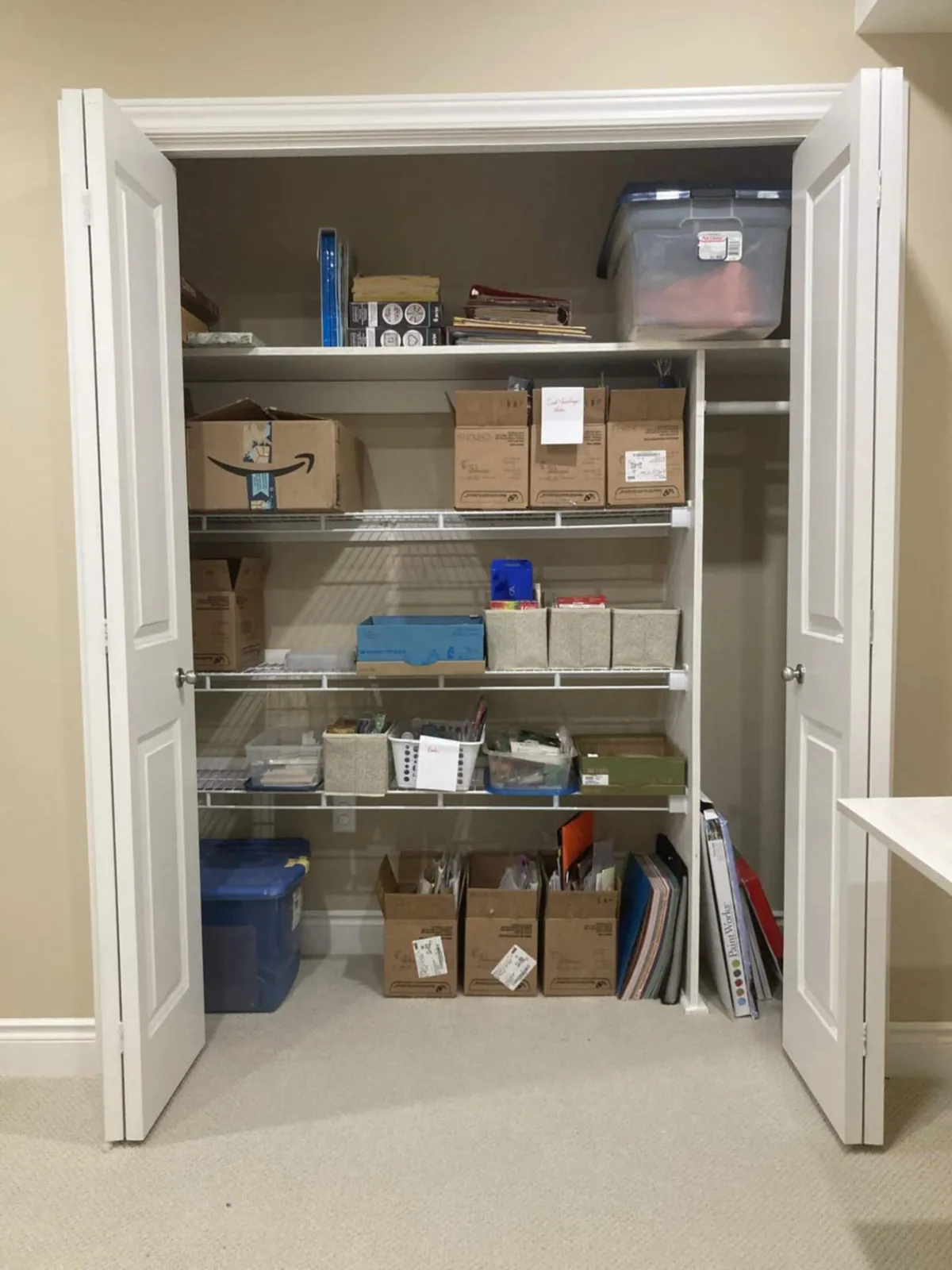 After: the same closet with boxes and bins lined up on each shelf